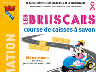 Les BriisCars