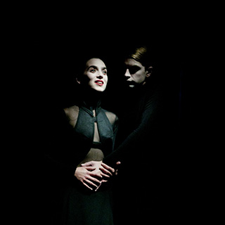 Sapins de quartier de Briis-sous-Forges