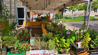 Bourse aux plantes